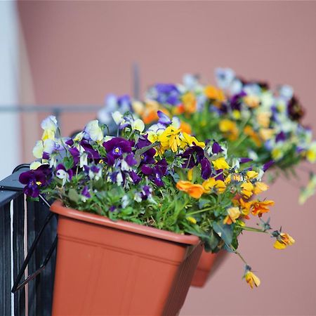 Il Giardino Segreto Bed & Breakfast Sorrento Eksteriør bilde