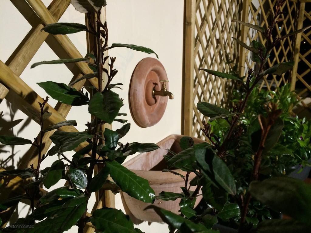 Il Giardino Segreto Bed & Breakfast Sorrento Eksteriør bilde