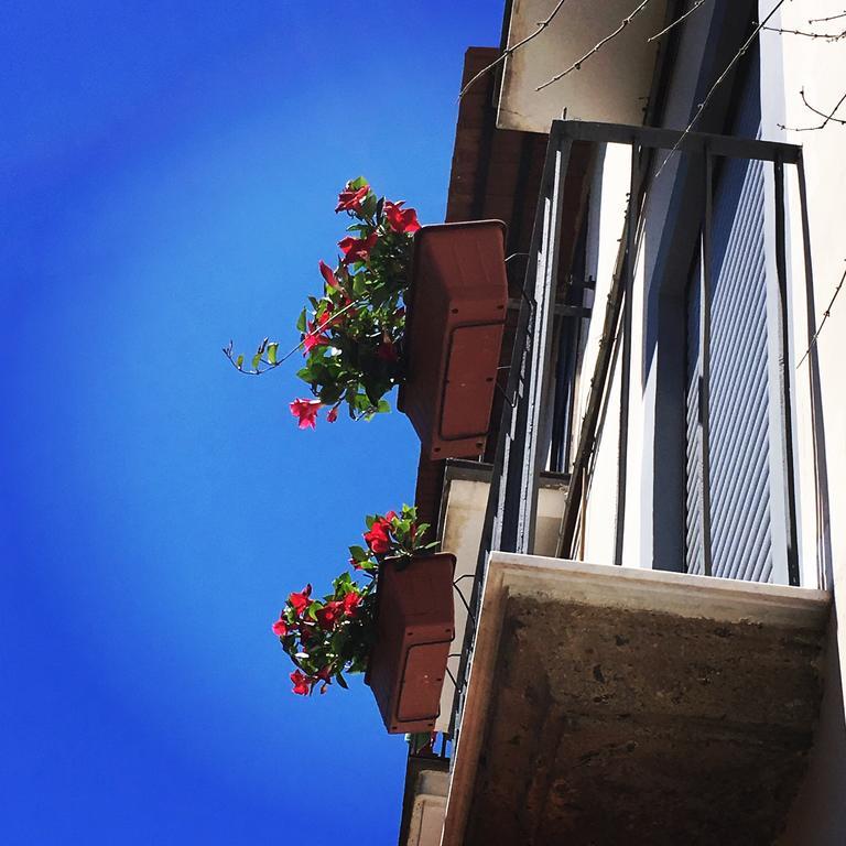 Il Giardino Segreto Bed & Breakfast Sorrento Eksteriør bilde