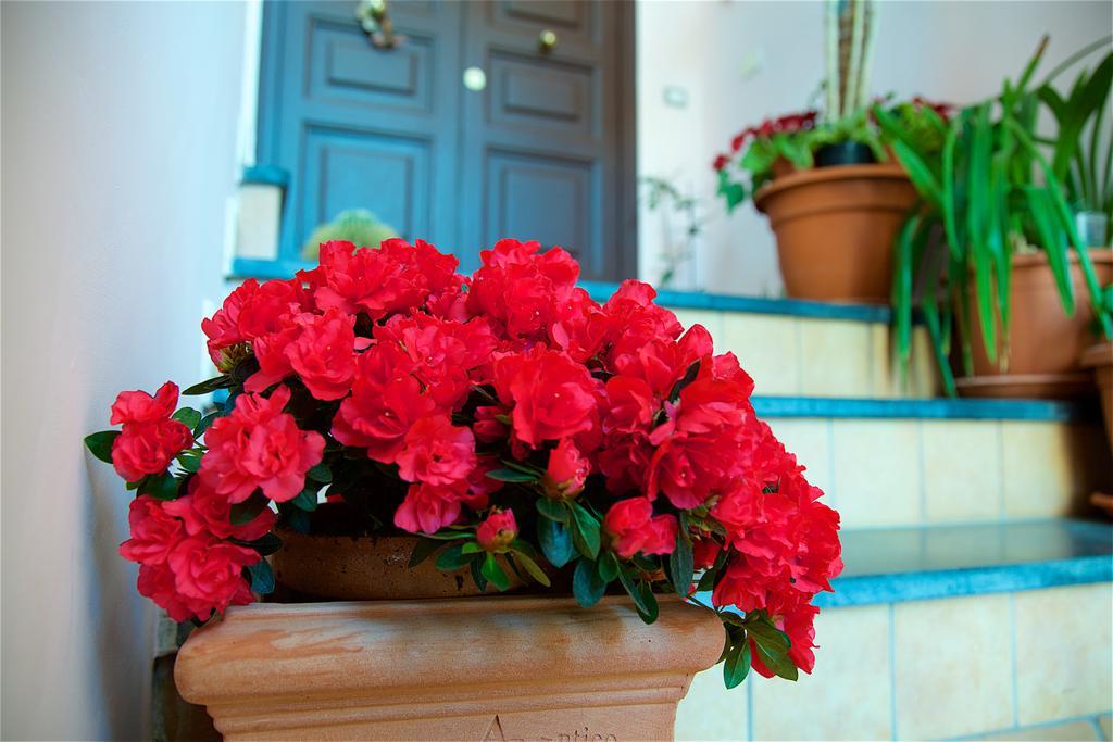 Il Giardino Segreto Bed & Breakfast Sorrento Eksteriør bilde