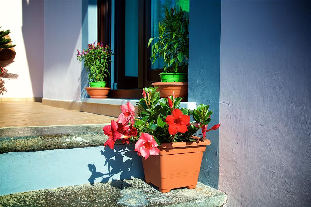 Il Giardino Segreto Bed & Breakfast Sorrento Eksteriør bilde