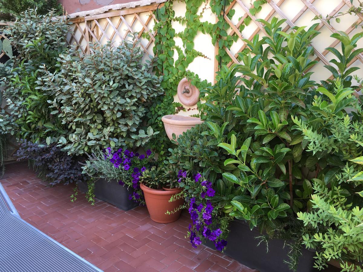 Il Giardino Segreto Bed & Breakfast Sorrento Eksteriør bilde
